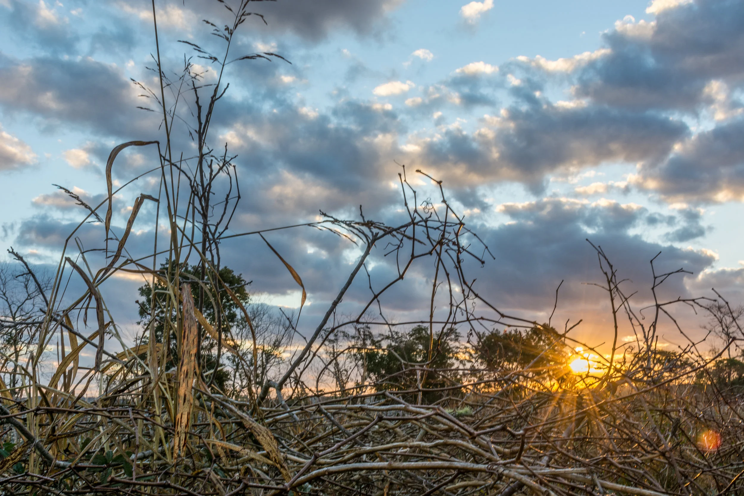 Sunrise-301.jpg