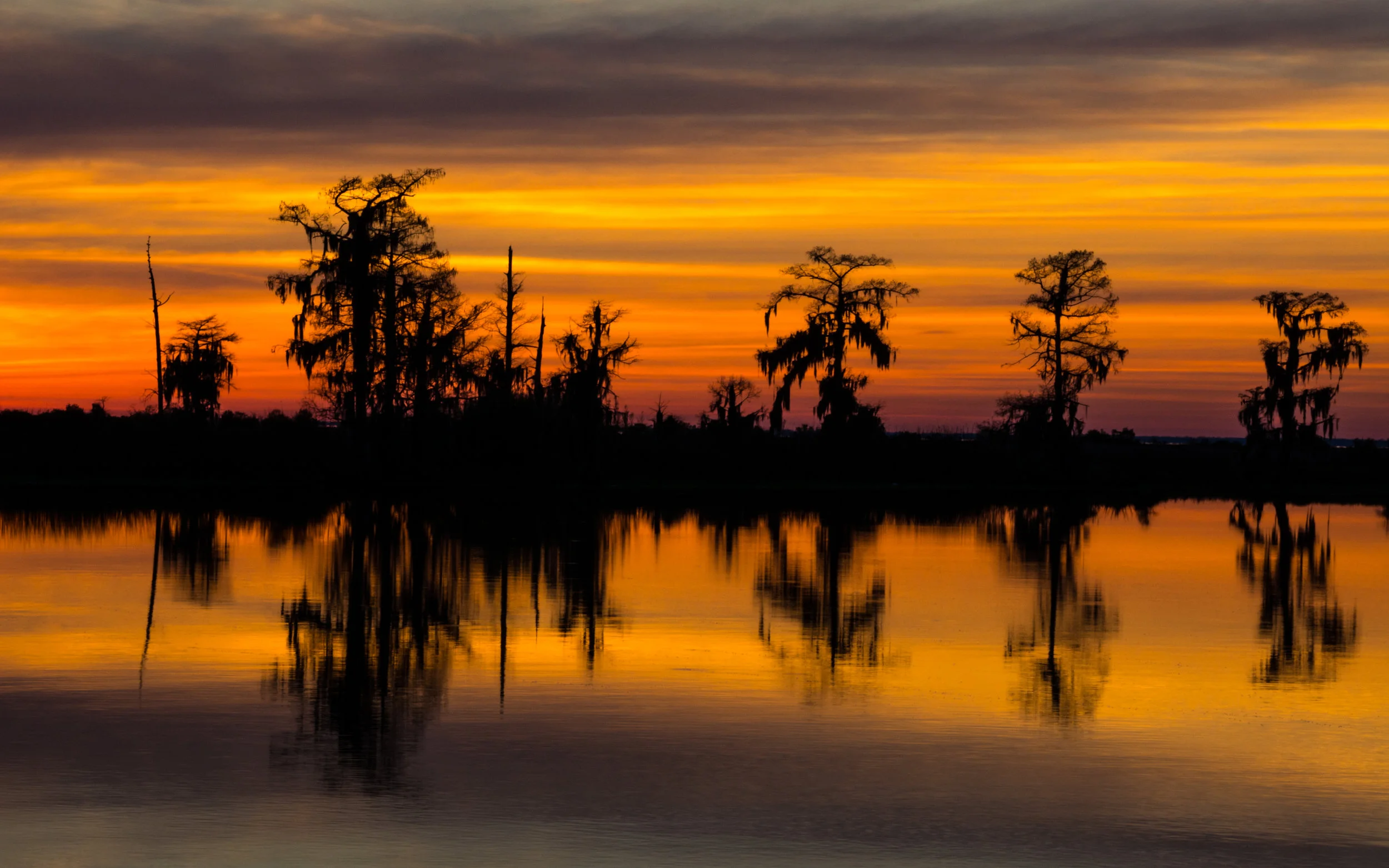 Swamp Reflections-400.jpg