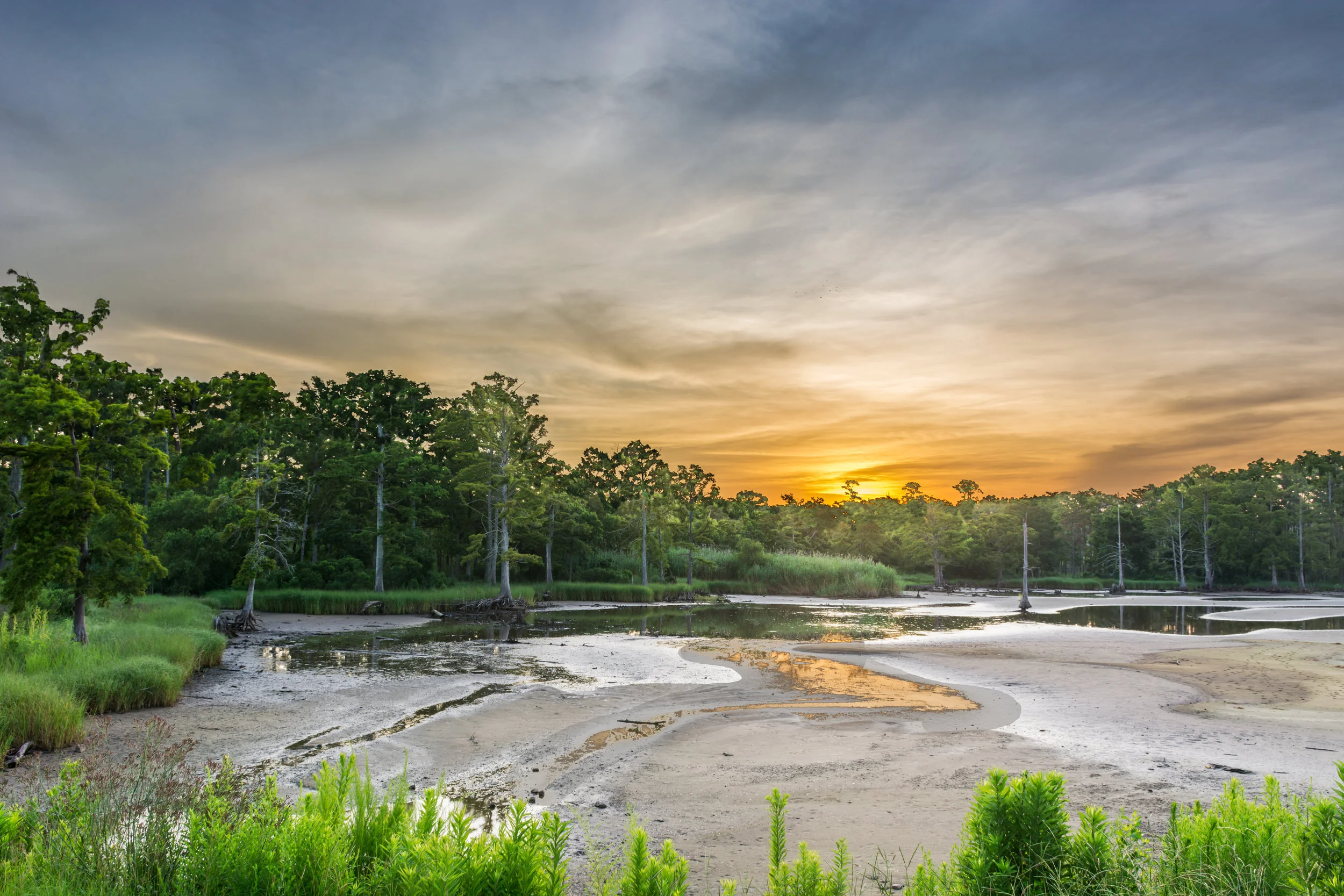HDR-100.jpg