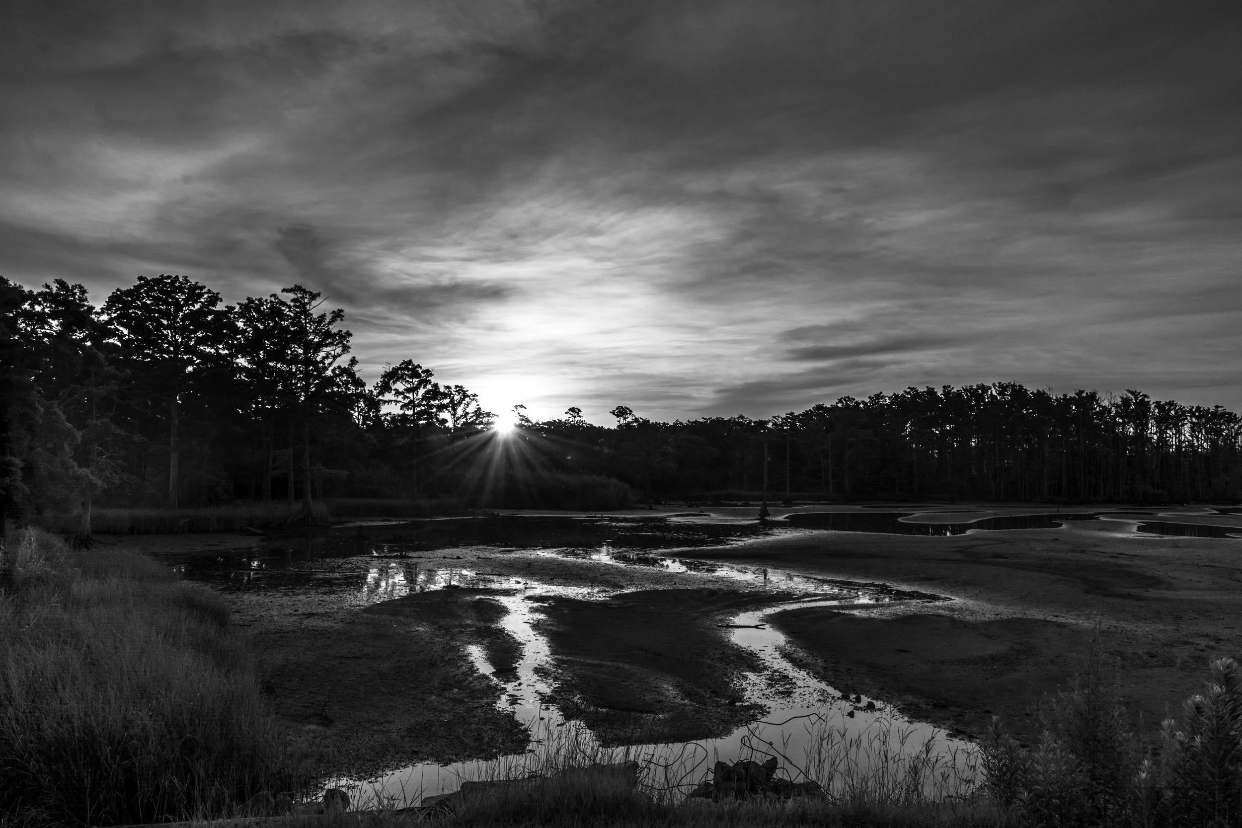 Sunset Point Low Tide-106.jpg