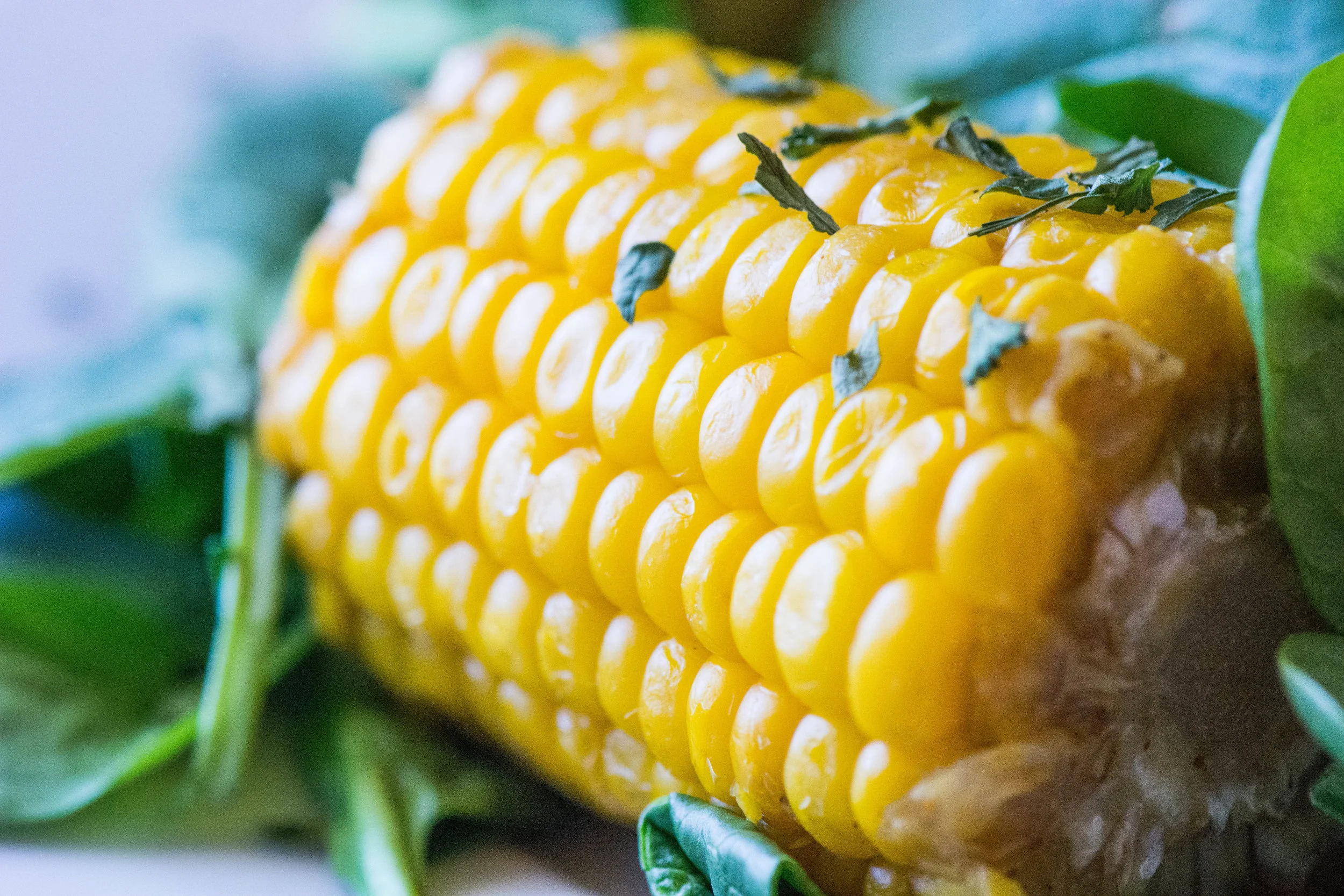 Cajun Boiled Corn