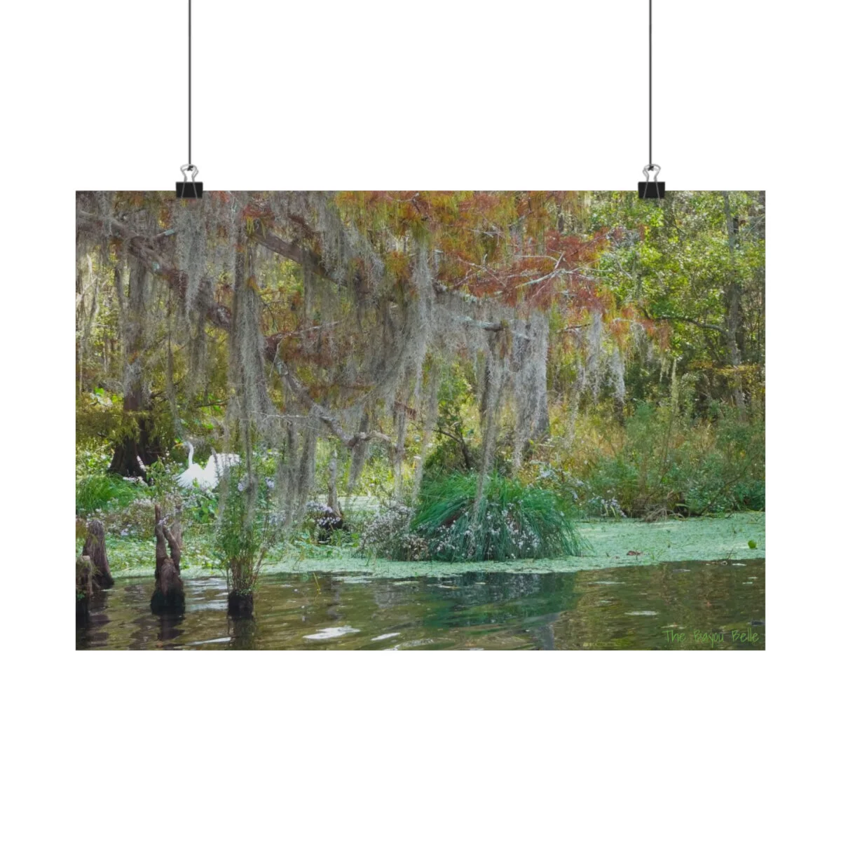 e907e4b37b17eff407a20fe5c6063d5e