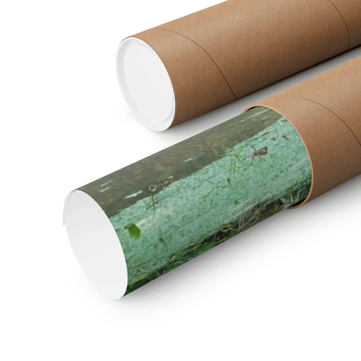 53e39ac0ae6497aea96ff359dfff2e80