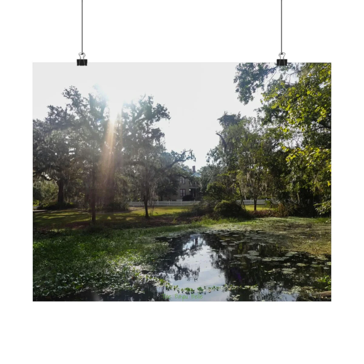 a035039e23bffe691618e3e362cad9aa