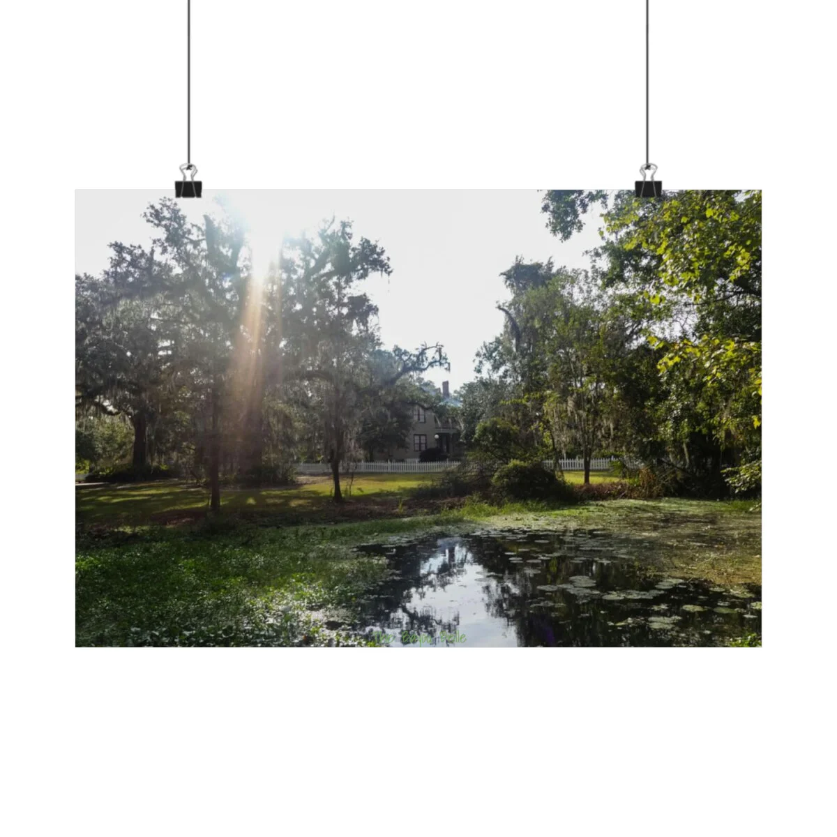 ee790687c25243edc28aeedc9e0e9529