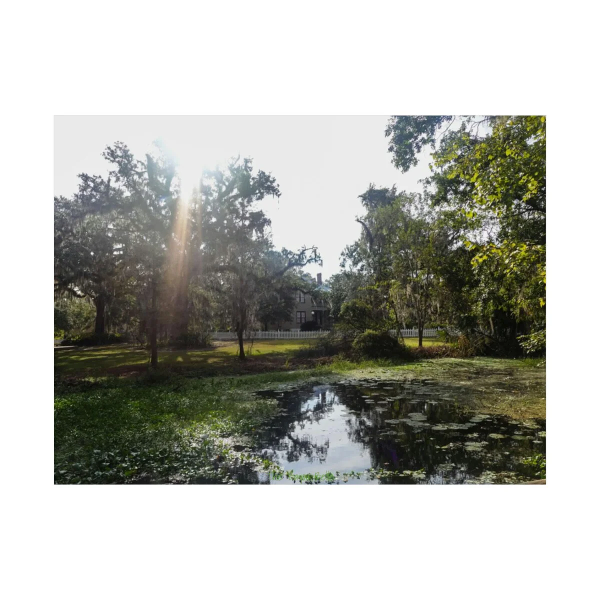 94d191edfdd1492be3d7482d9dffae52