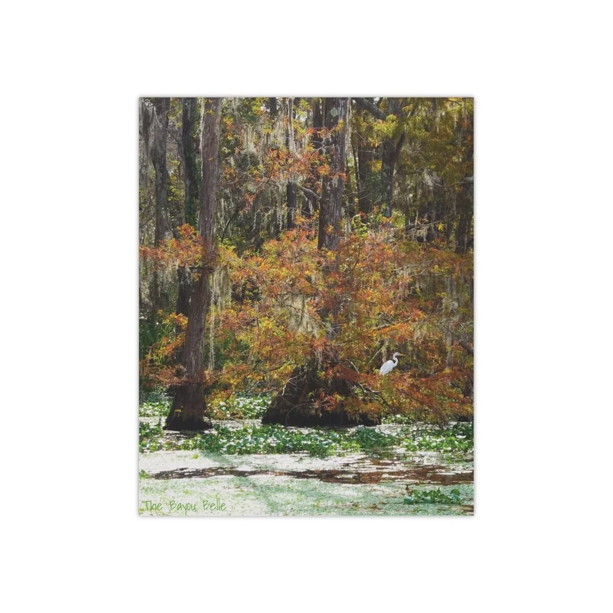 a2565db427df2491953901e377990440