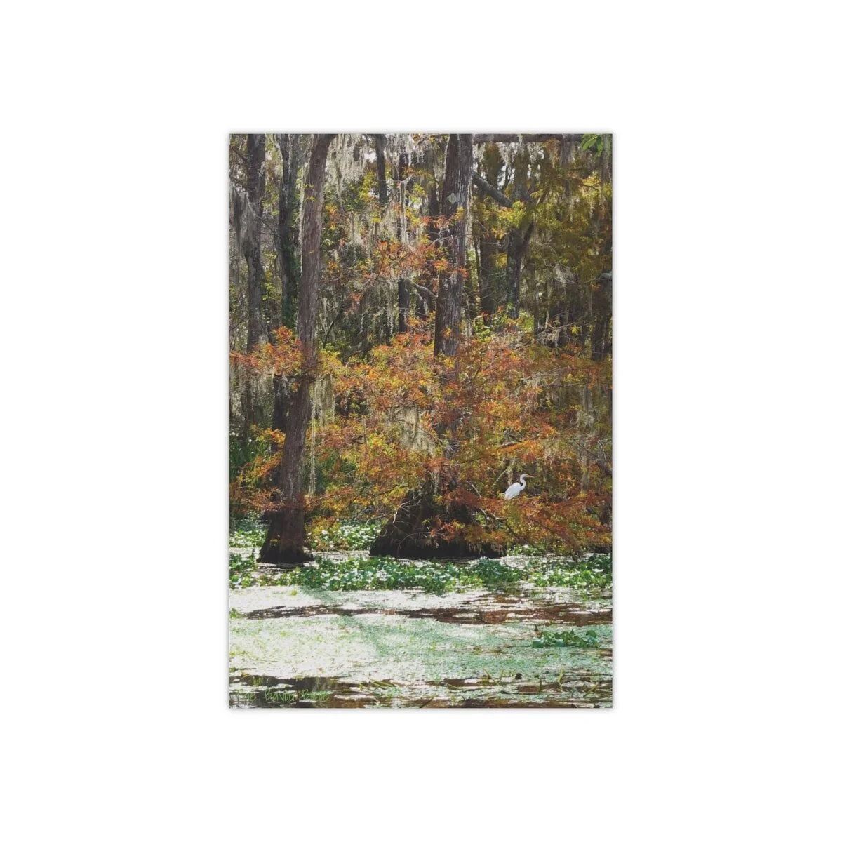 3dc0fd18550d891a7181accd810d36fb