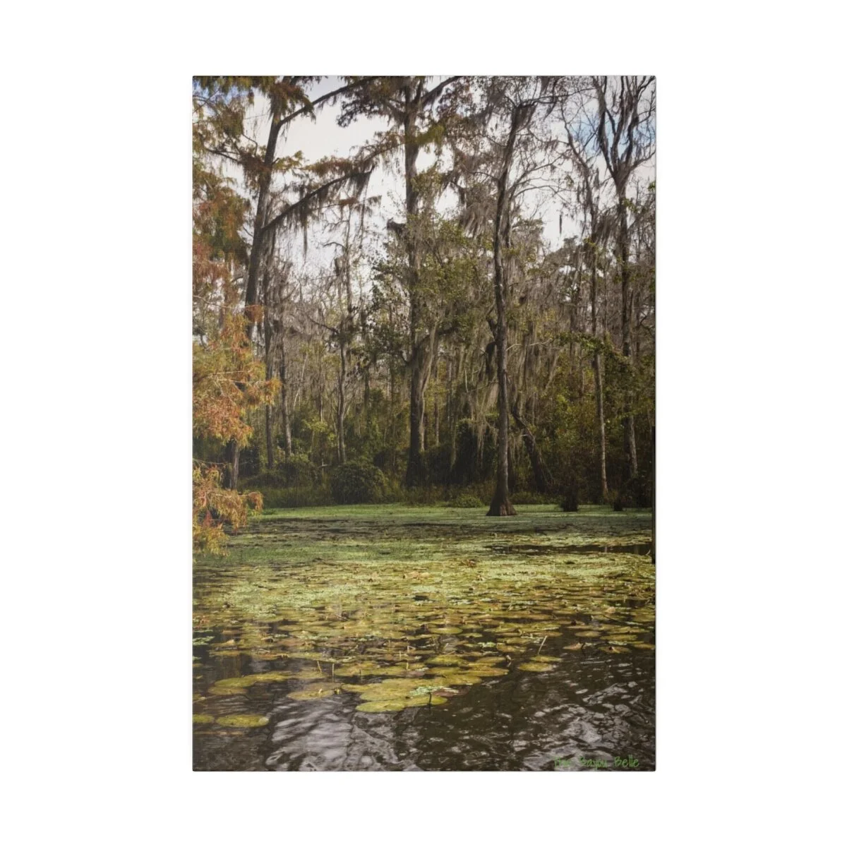 491b13bd66eedf0d34e35b39fbbcc319