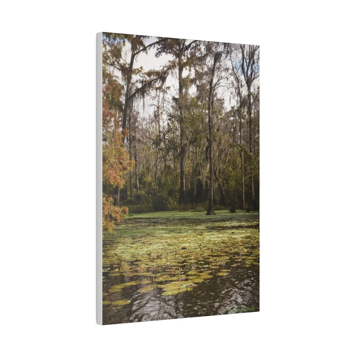 166c8c13cee159c7b9b73cb0eb34d74b