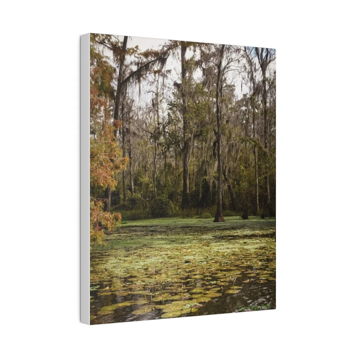 d3a7a74933d2791f9dfb33a6c99ab59b