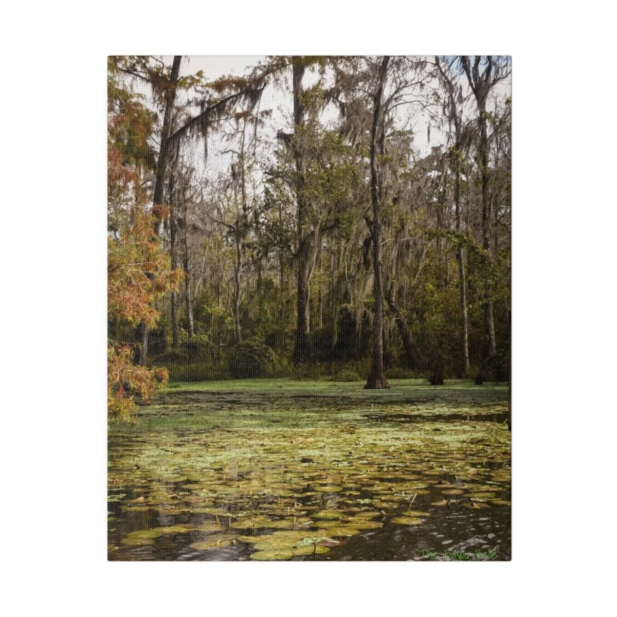 df7cddf9a7cd086cb201e6e9311b8b85