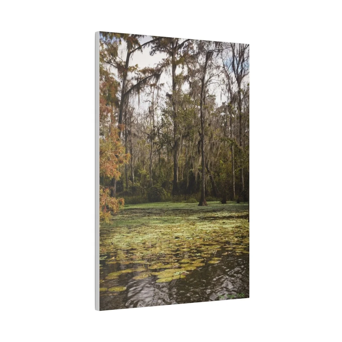 3eaabfeb0072481d8711c6a88543233a