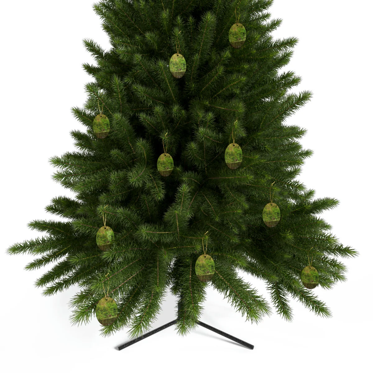 de78b6991c1c795797dd478c7440979f