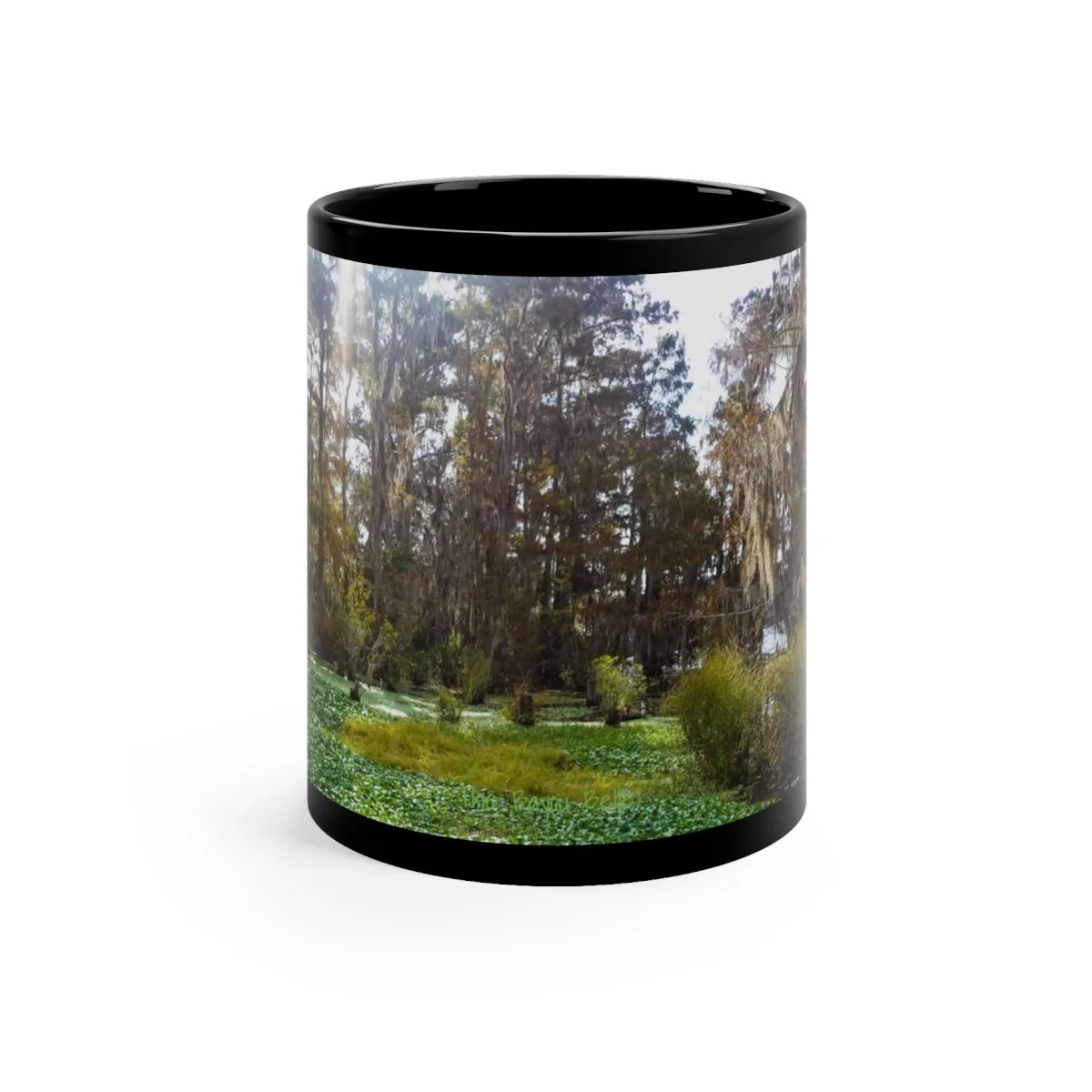 2c0907af8cbd2363031961832147bb0f