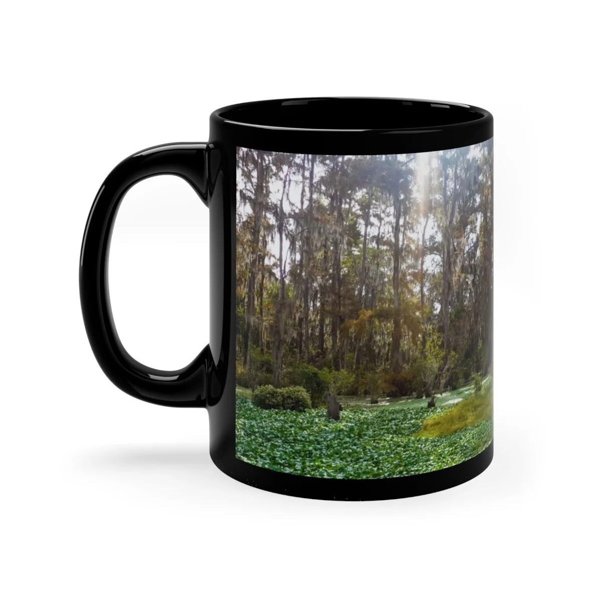 bcf5a2bf558b19d5eea0a90139cf0256