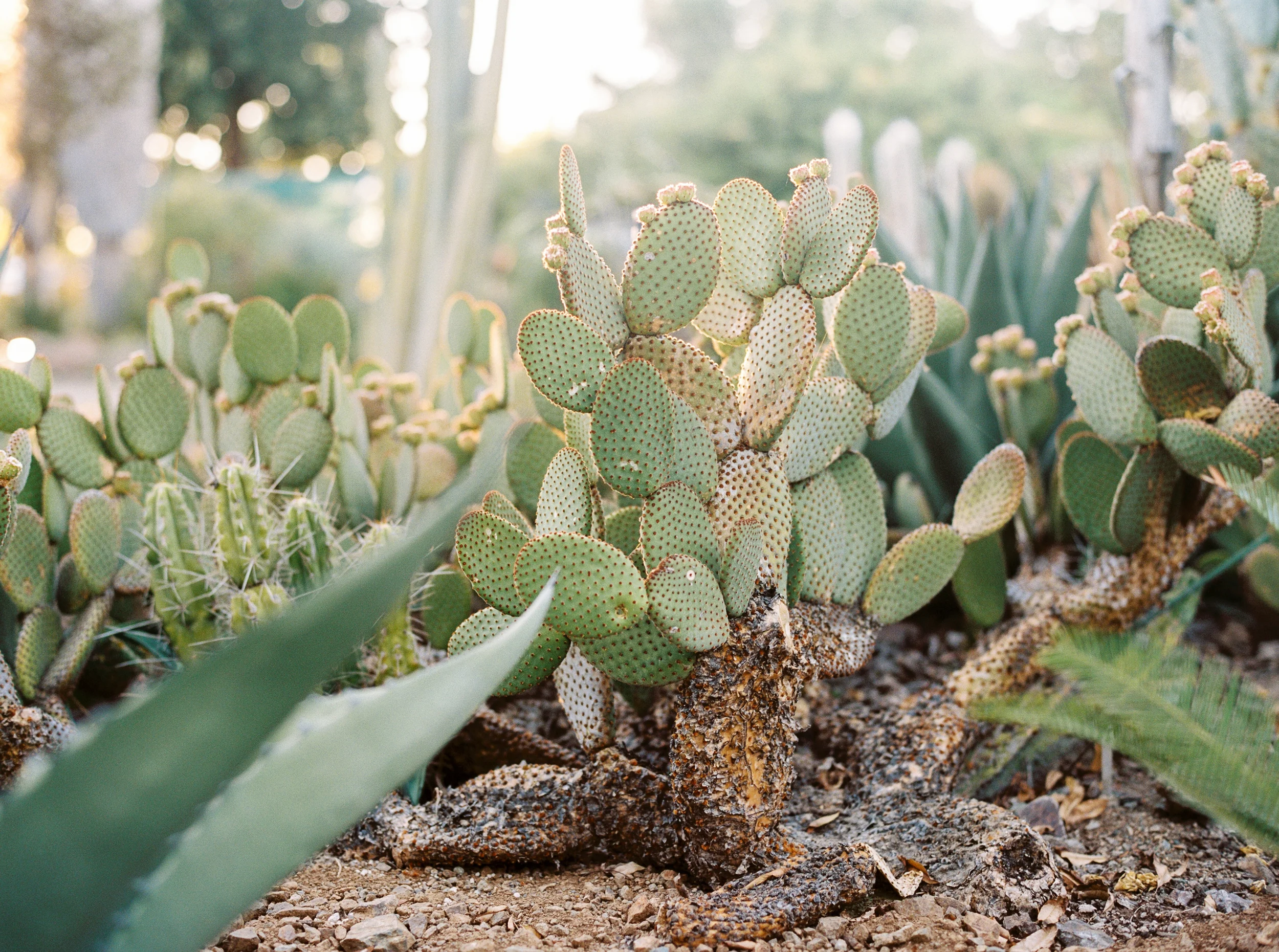 DaniellePoffPhoto-31.jpg