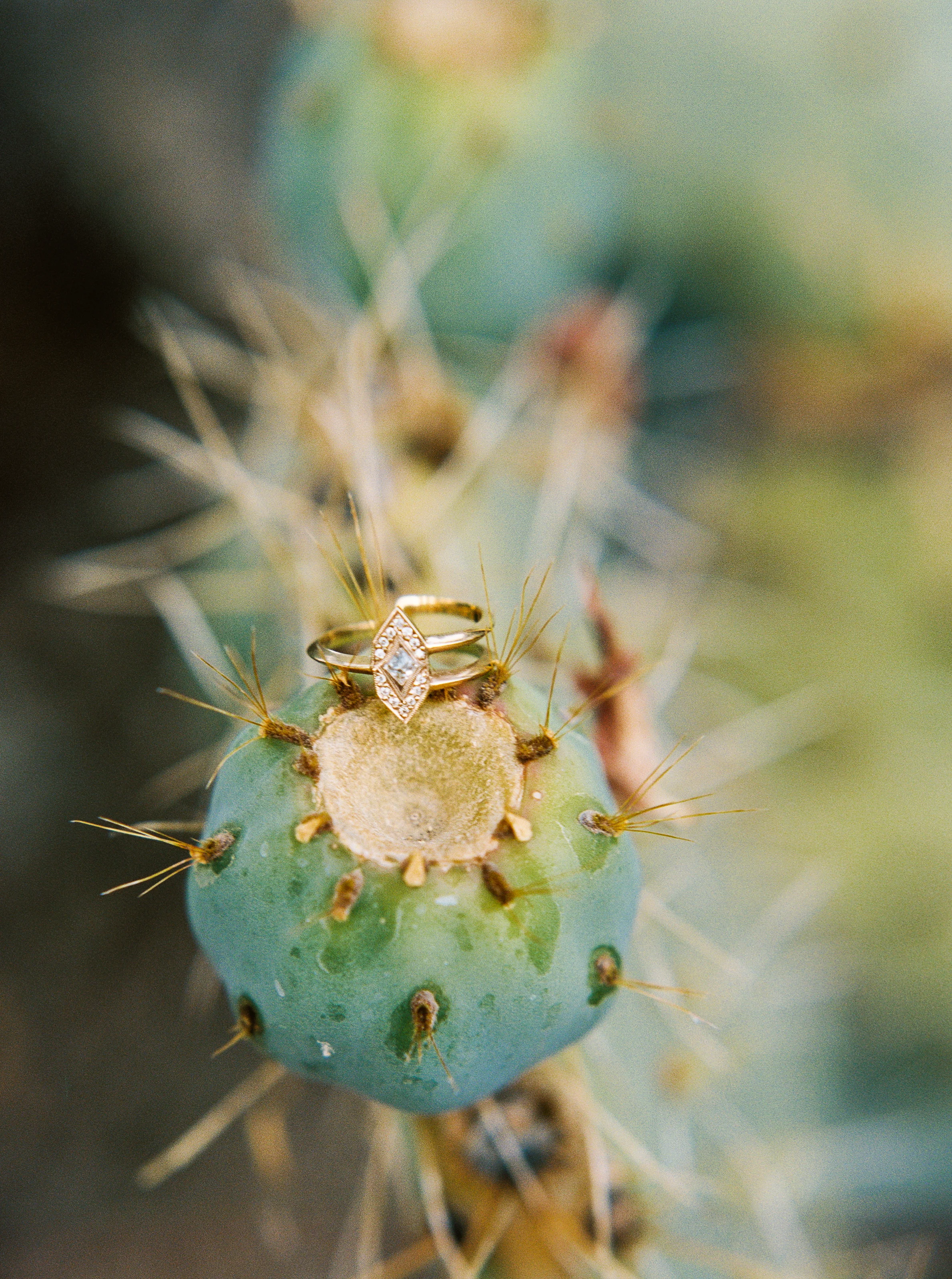 DaniellePoffPhoto-147.jpg