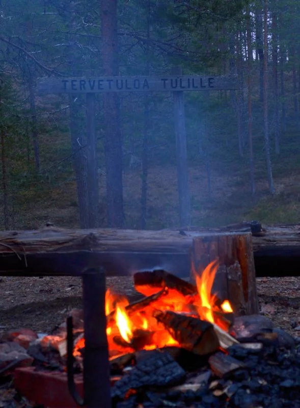 Hirsiniemen laavulta Livojärven rannalla. 