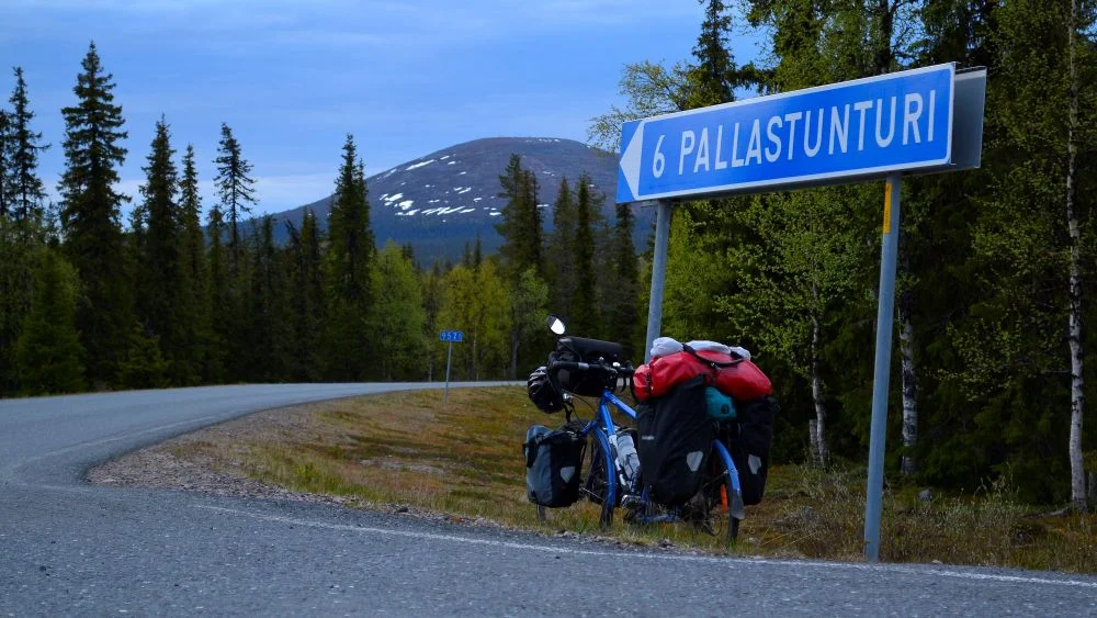 pallas6.jpg