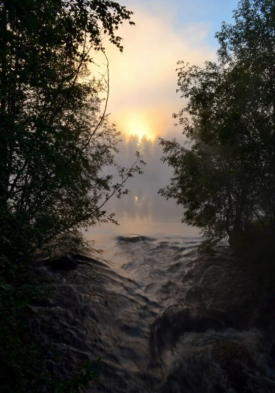 sumujoki.jpg