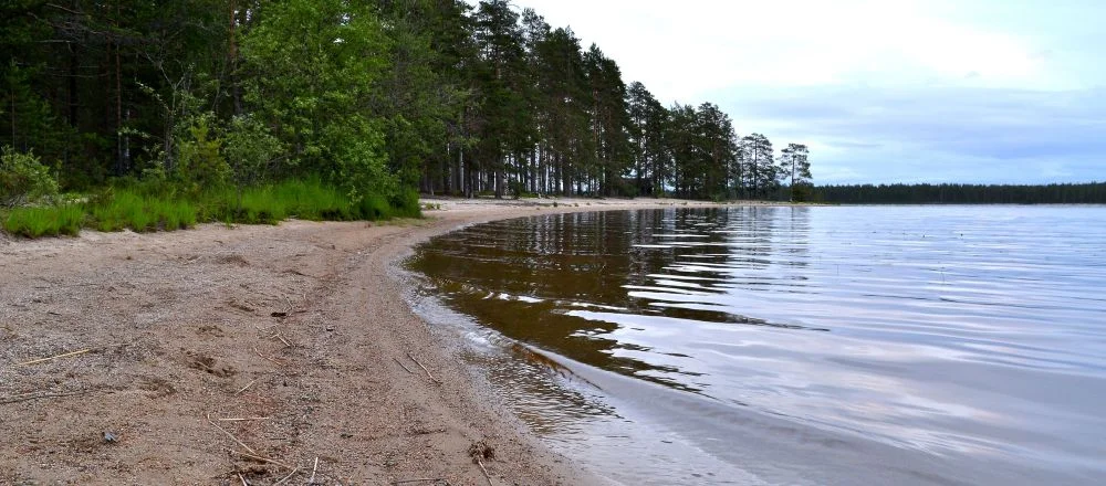 Suomunjärven rannalla on yhteensä yli 20km hiekkarantaa. Vesi oli vielä viileää helteitä odotellessa.