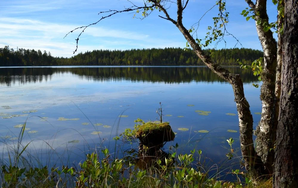 kirkassoljanen.jpg