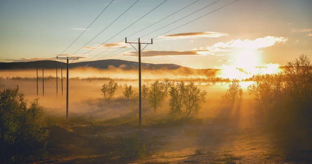 These power lines wanted to be in every photo, the way power lines often do.