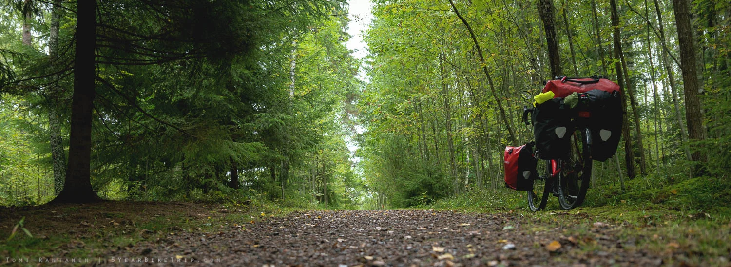 Autumn is beginning with the first yellow leaves on the ground.