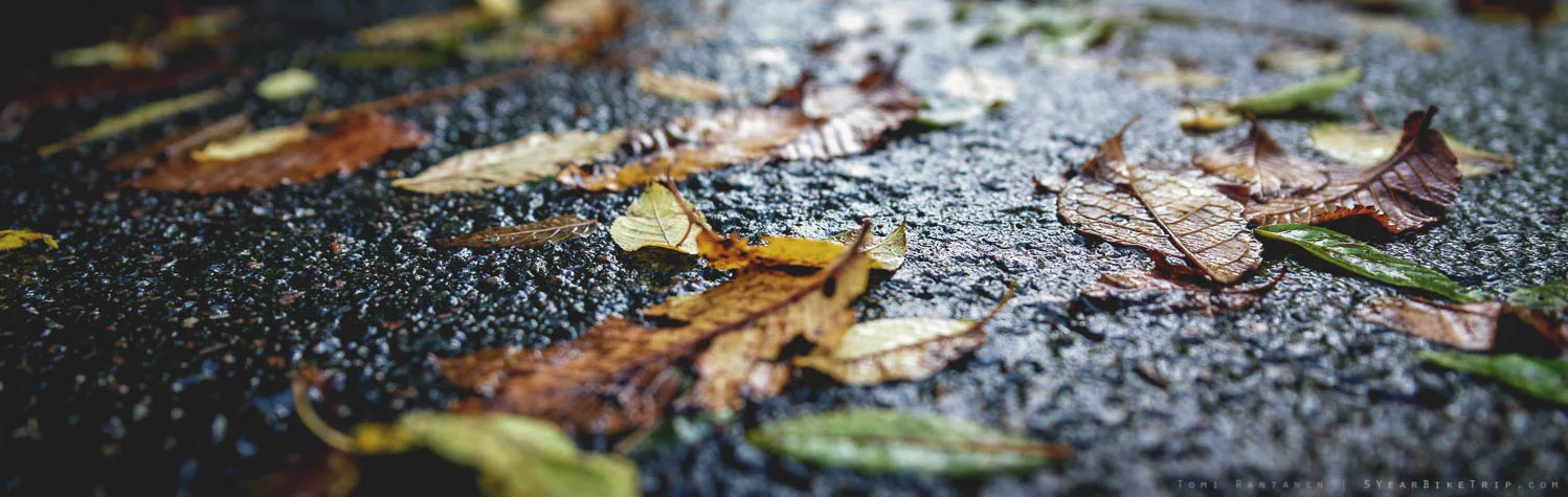 Autumn weather isn't great but the colours can get beautiful.