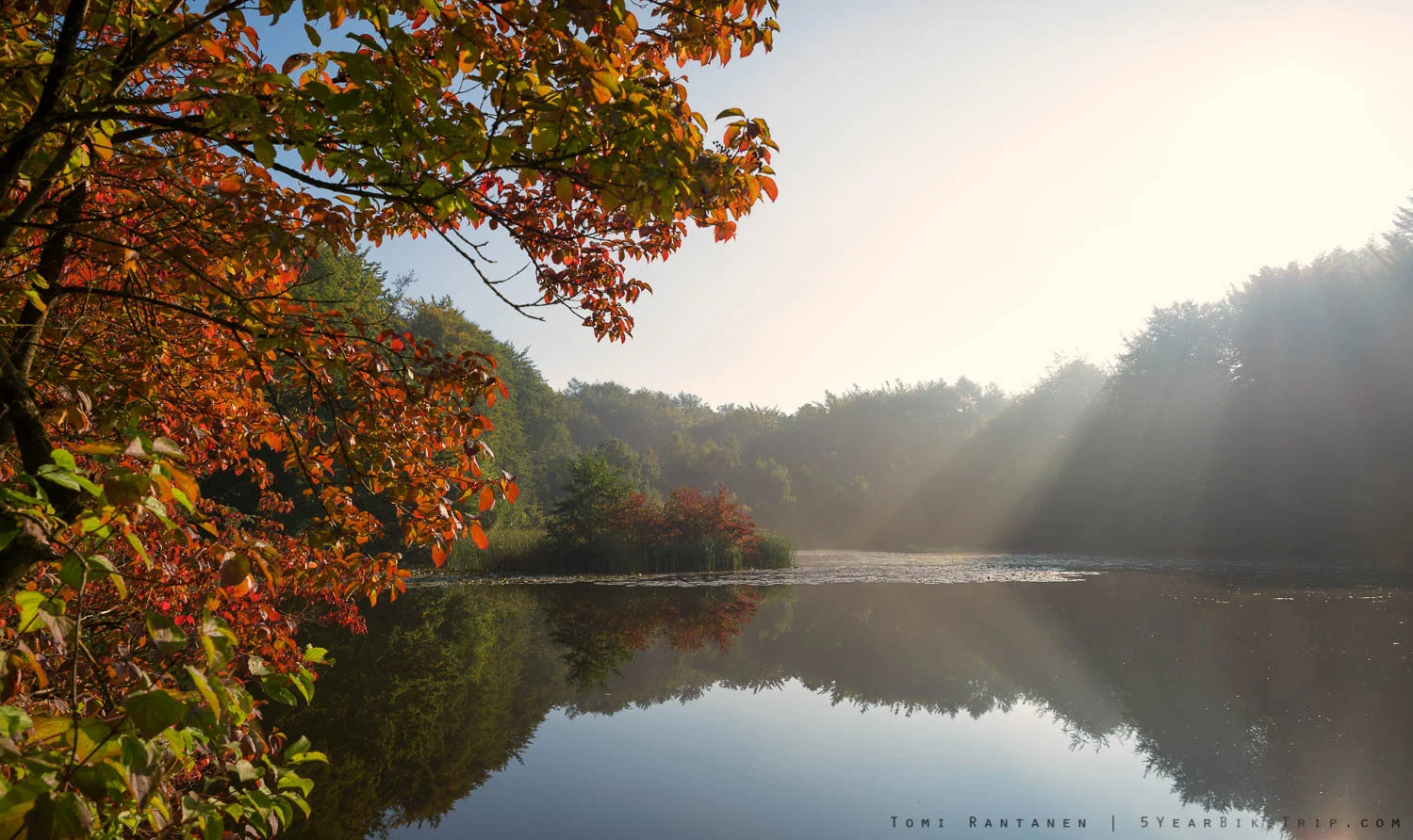 A couple of the trees had autumn colours to boot.