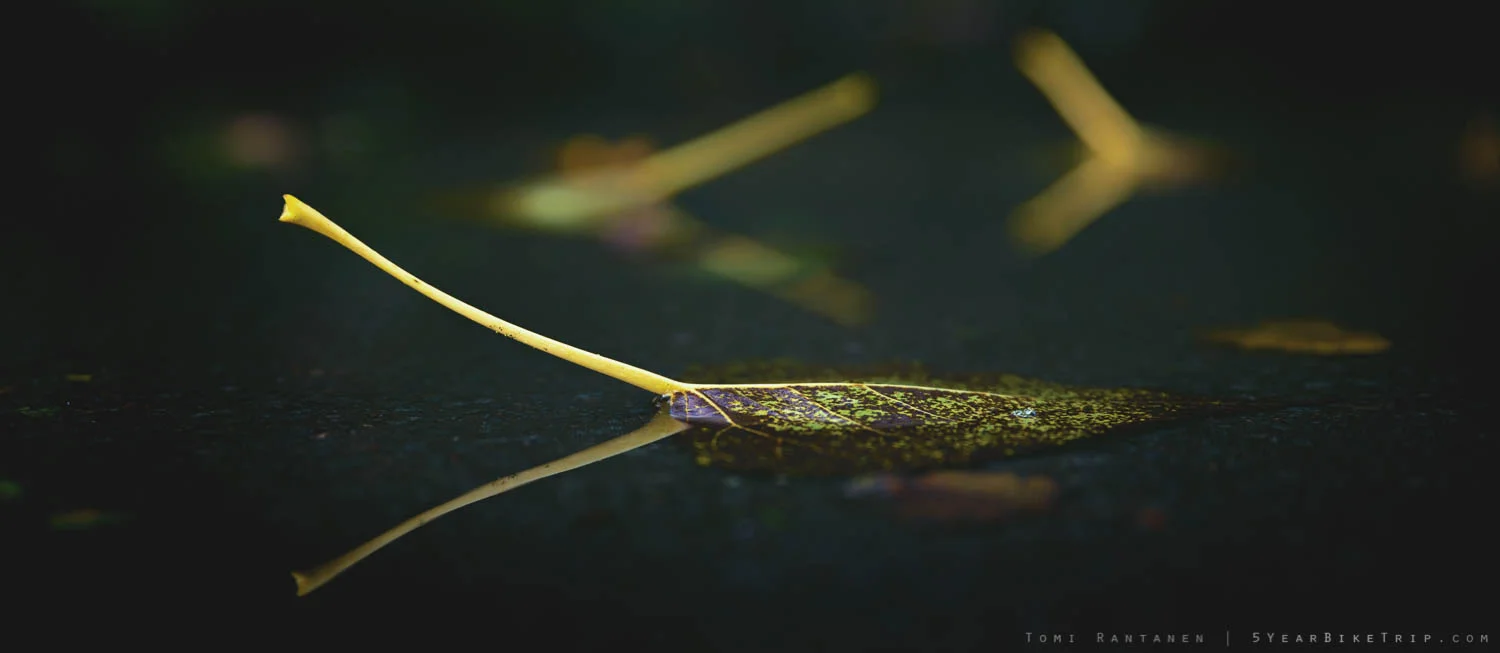 I tried my hand at macro shots at the camping ground.