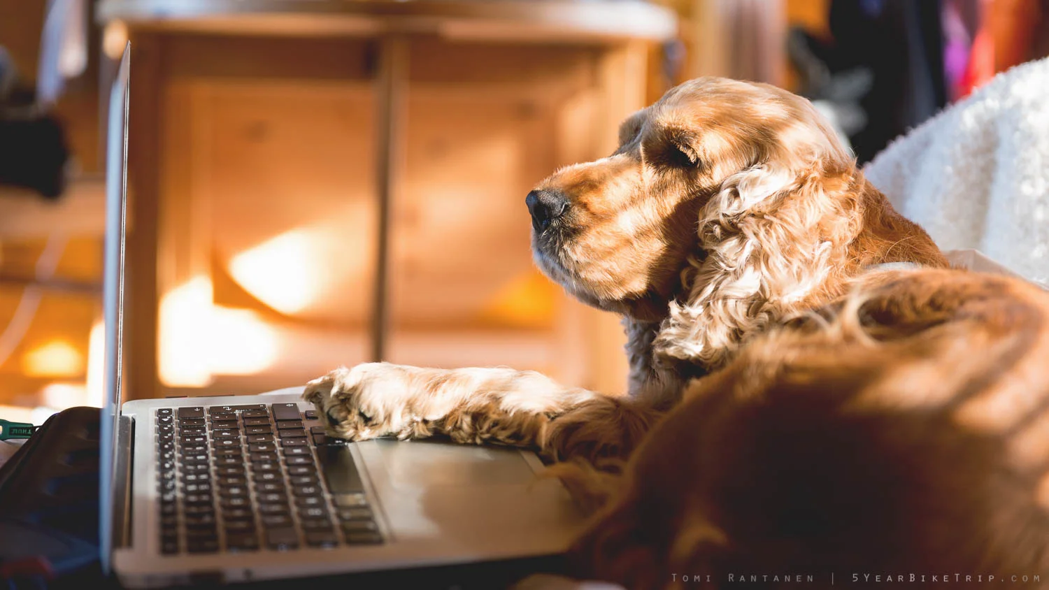She's really good at typing.