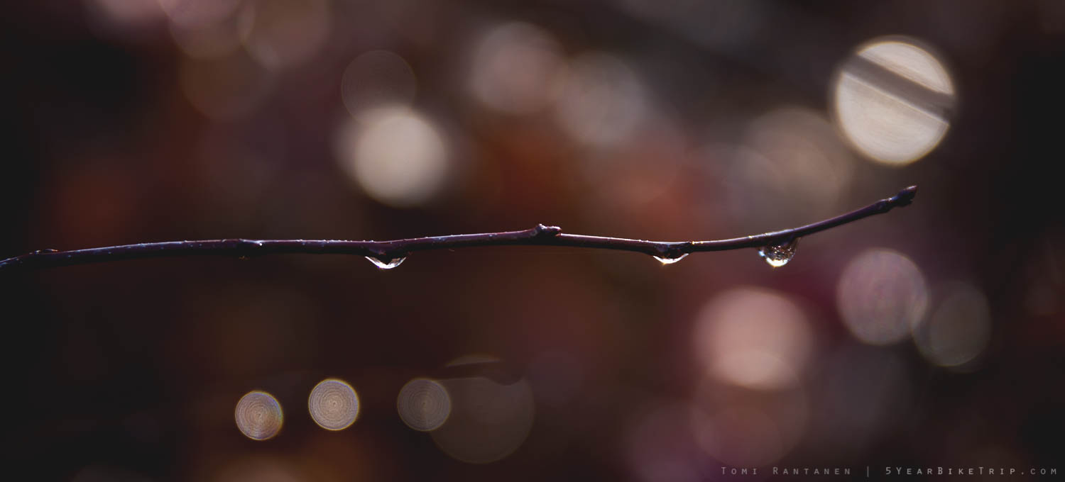 Sometimes the weather and landscape doesn't have much to offer beyond a few drops of water.