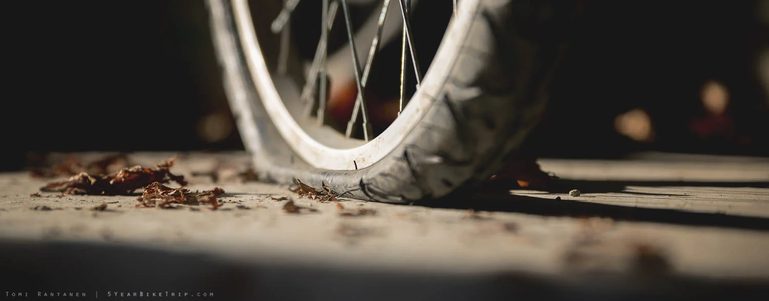 A gorgeous flat tire lit by the beautiful morning sun.