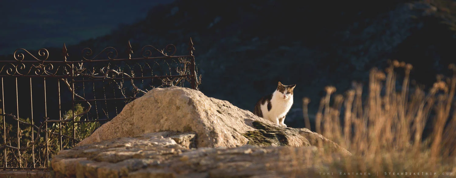 This one watched me take a time-lapse of the sunset for an hour.