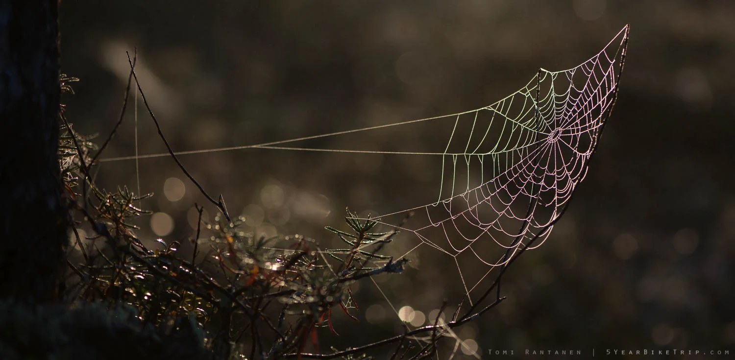 The spiderweb, on the other hand, works great.