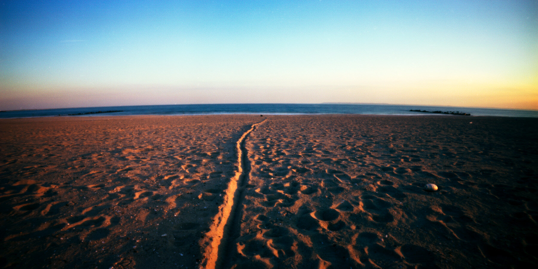 Coney Island, 2003