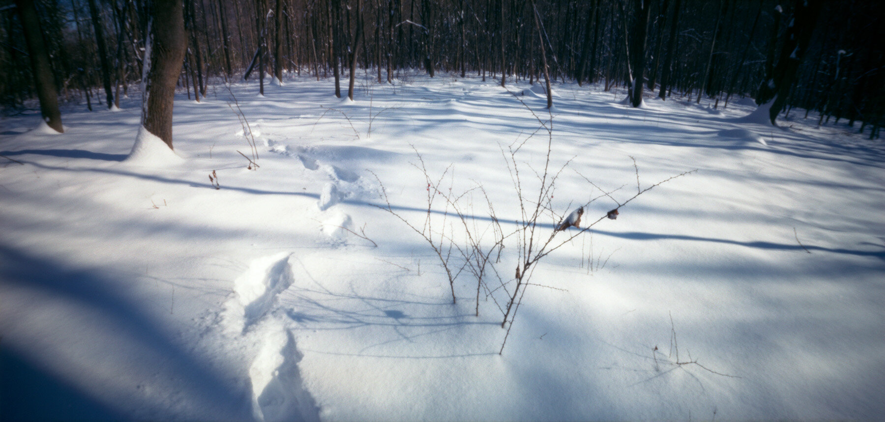 Snowfall, 2005