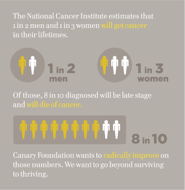 Infographics were created to illustrate the mission, value proposition and call-to-action for the foundation.