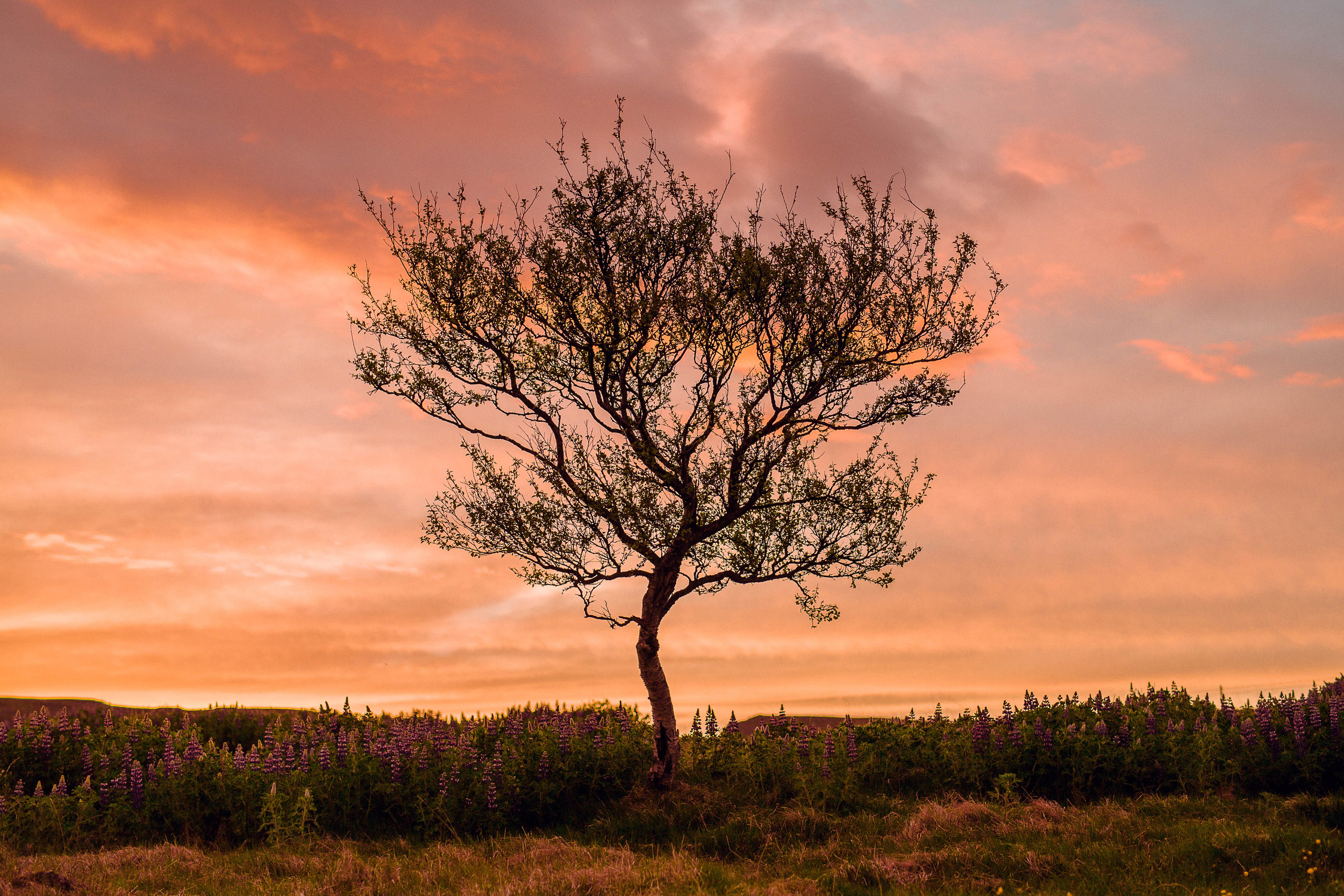 0X9B0961-Edit-6.jpg