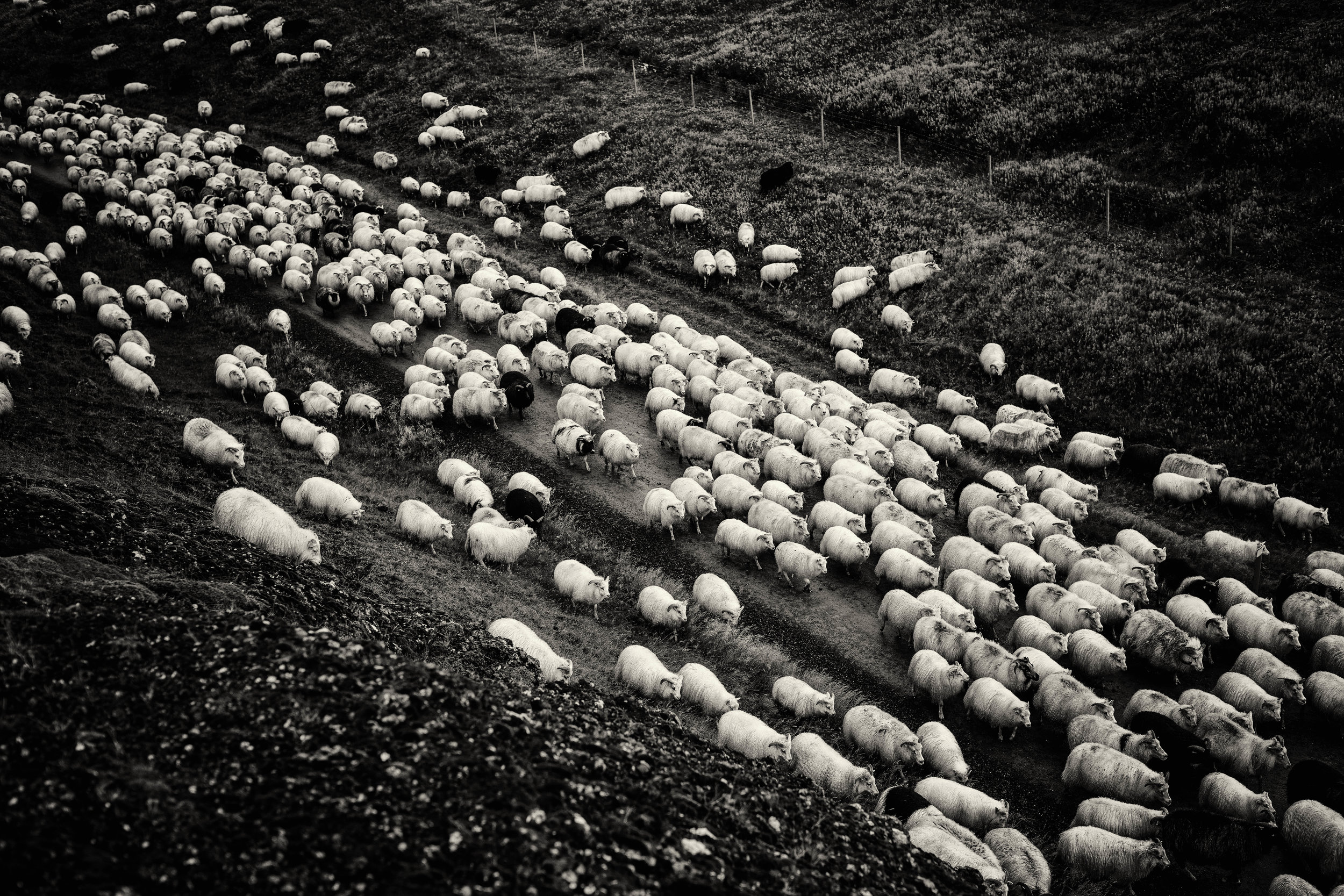 4I7A7060-Edit-2-6.jpg