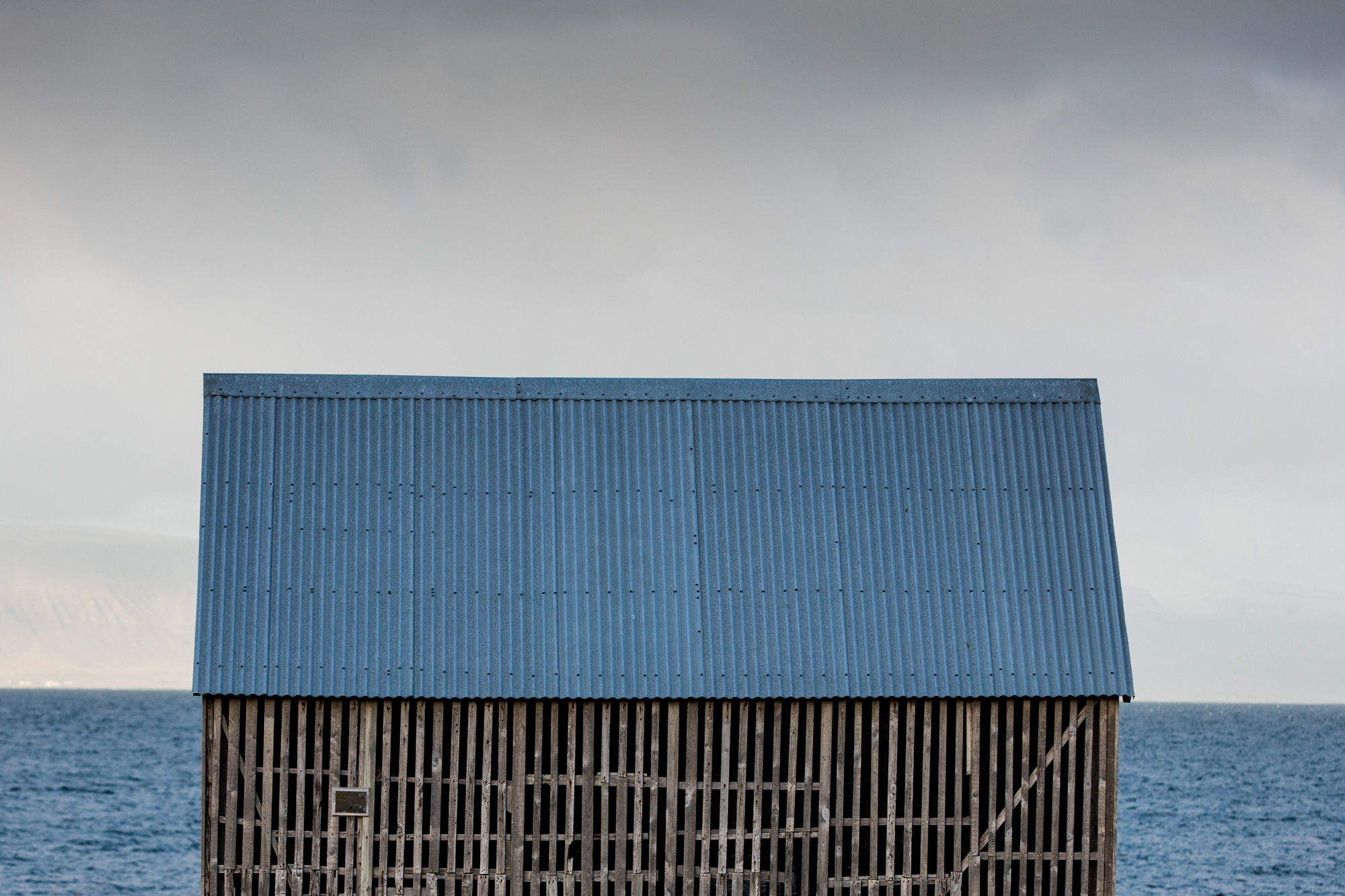 4I7A8985-6.jpg