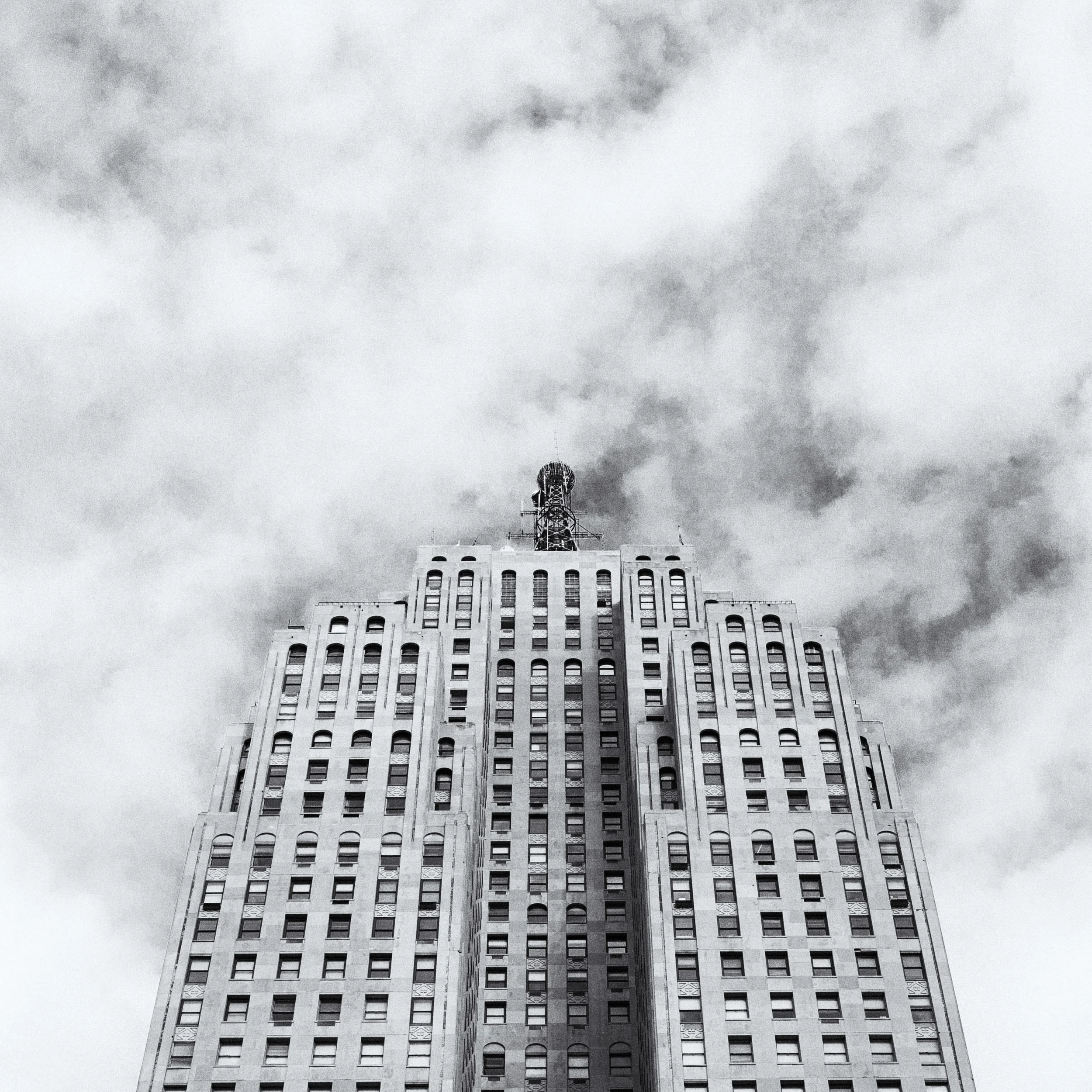0X9B5538-Edit-1.jpg