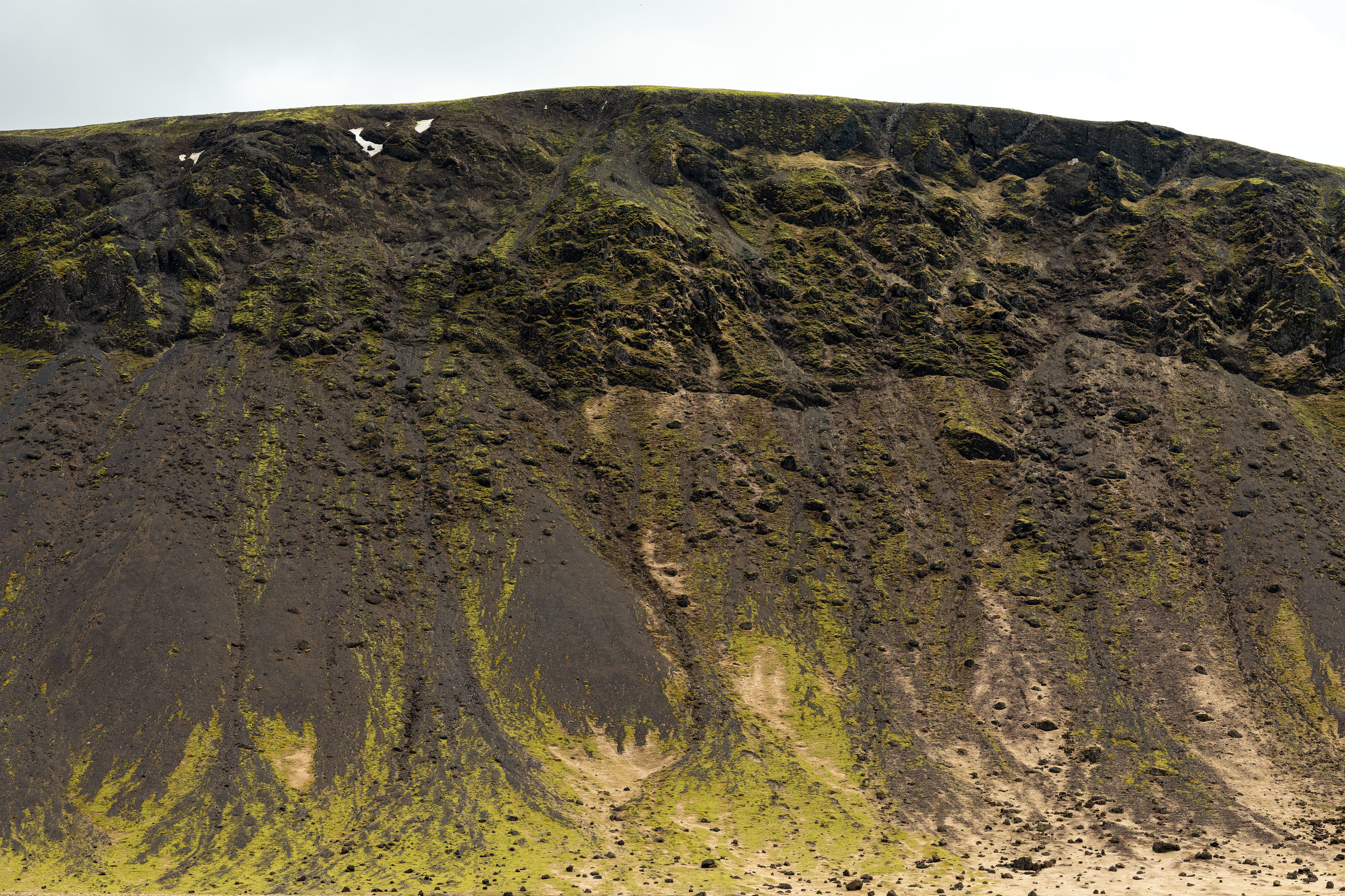 DSCF7474-1.jpg