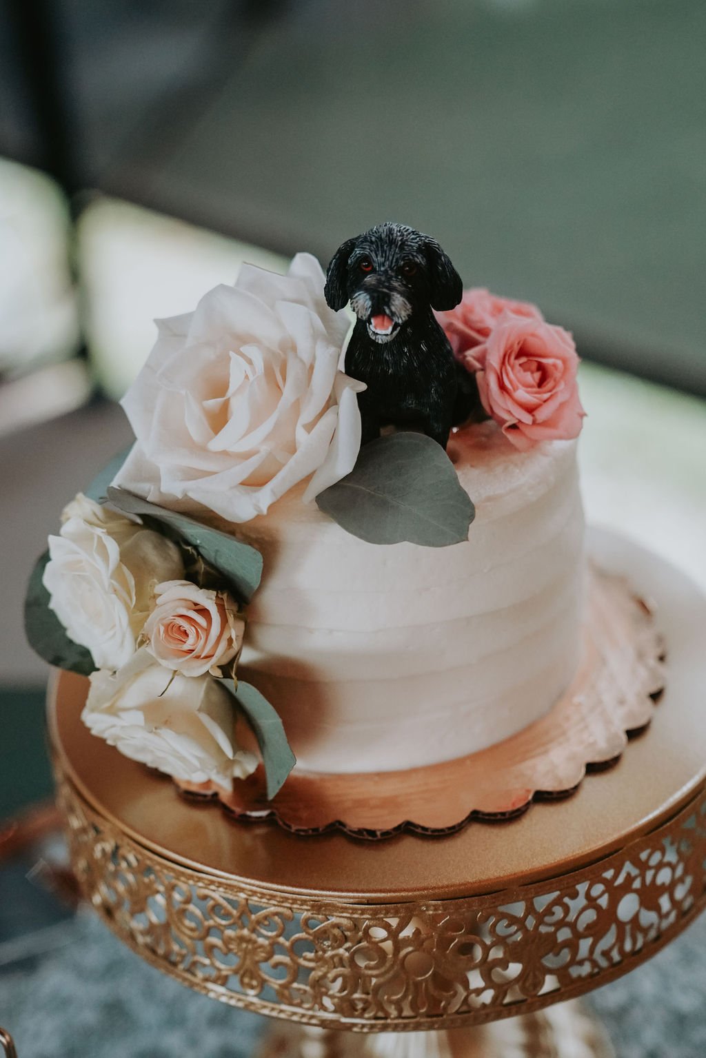 Reception-34.jpg