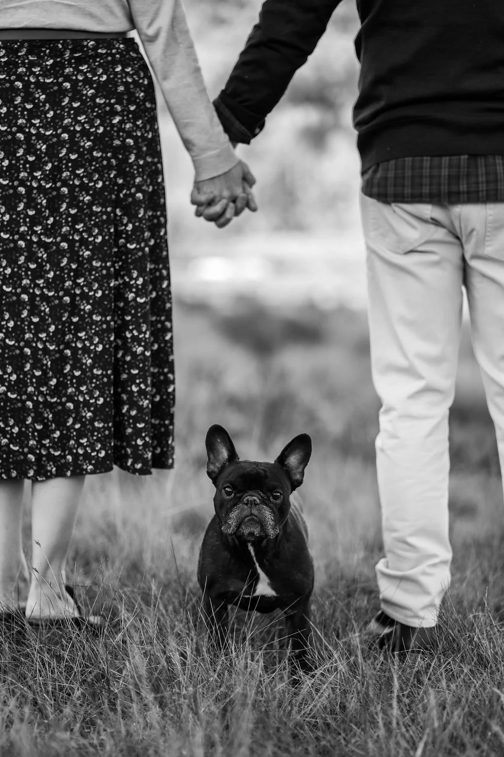 TheSmileyFamily-45.jpg