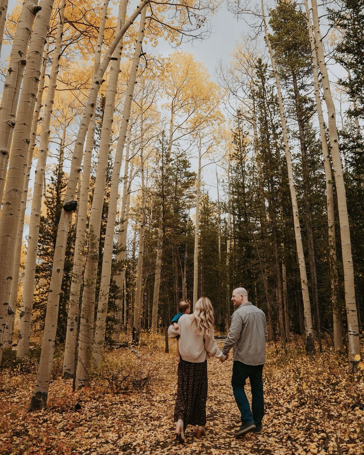 Collins face in this entire shoot is what I feel like listening to Opalite on repeat. This family is so adorable! I hope I get to continue working with them for years and years to come!!
.
.
.
#family #familyphotoshoot #familyphotography #coloradofam