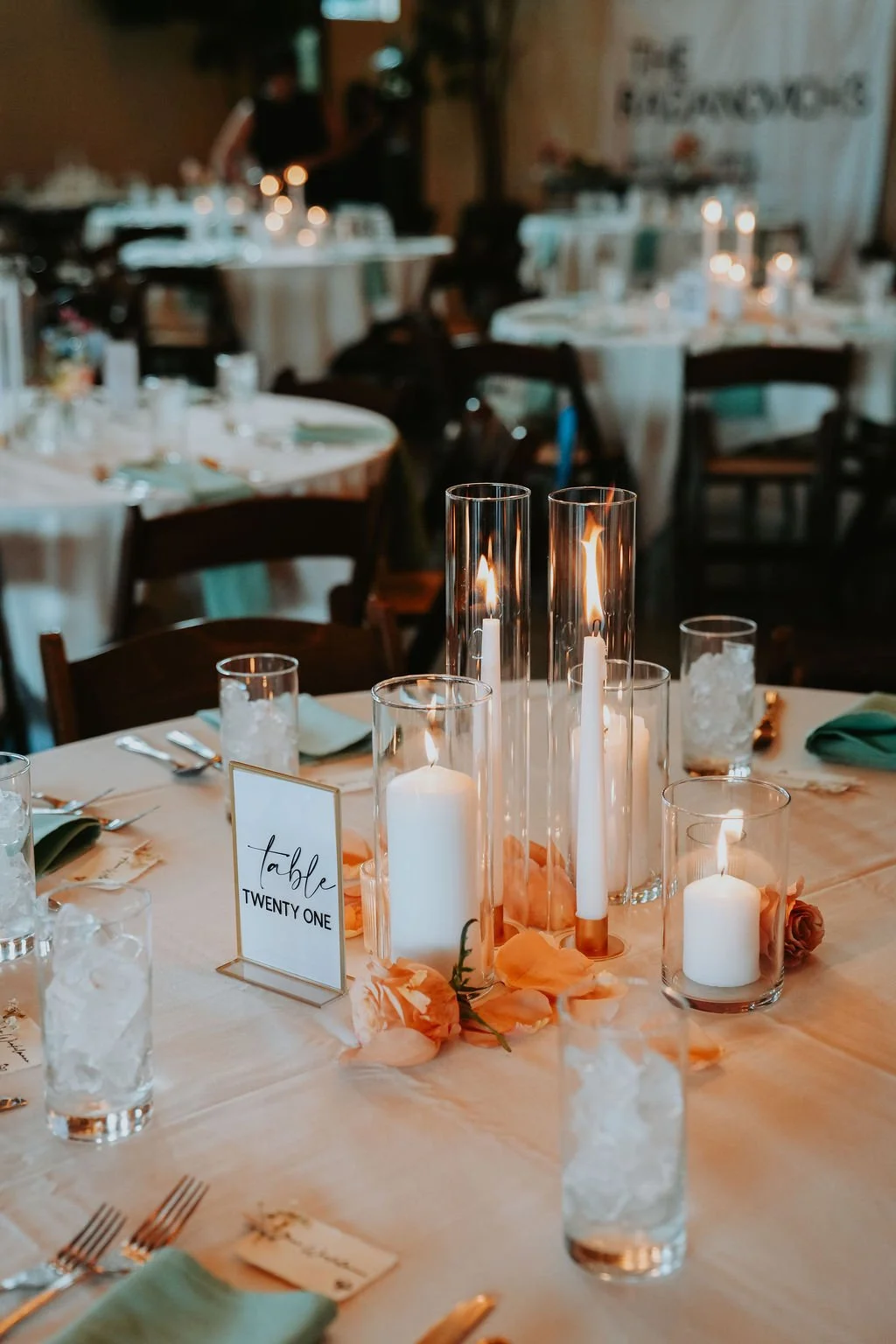 EllieandJake_Reception-021.jpg