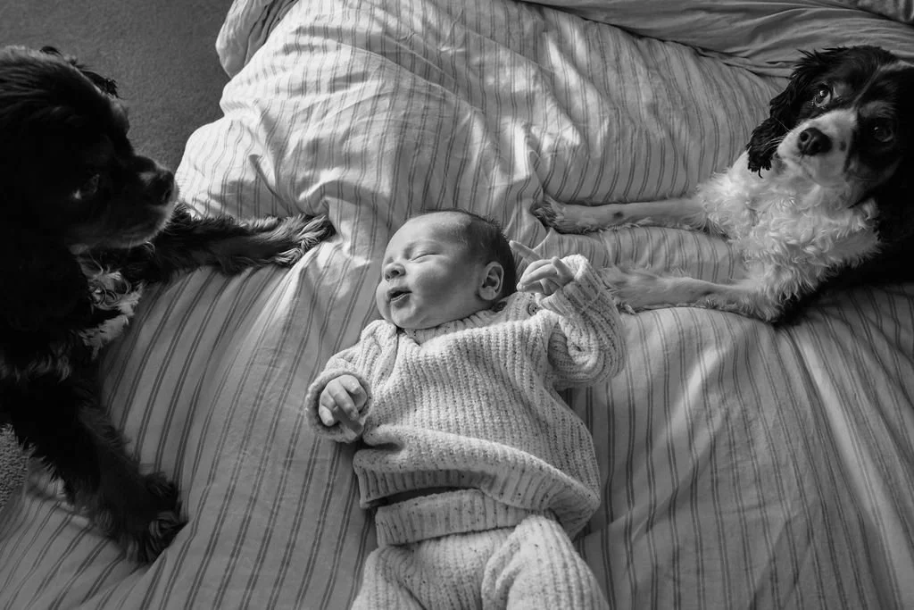 TheFultonFamily-113.jpg
